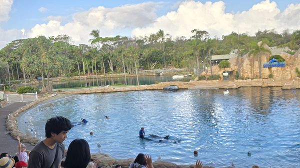 Australia - Gold Coast