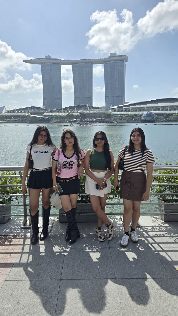 Singapore &ndash; Vietnam